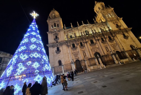 Navibus: un paseo por las luces de Navidad - Lagarto Tours