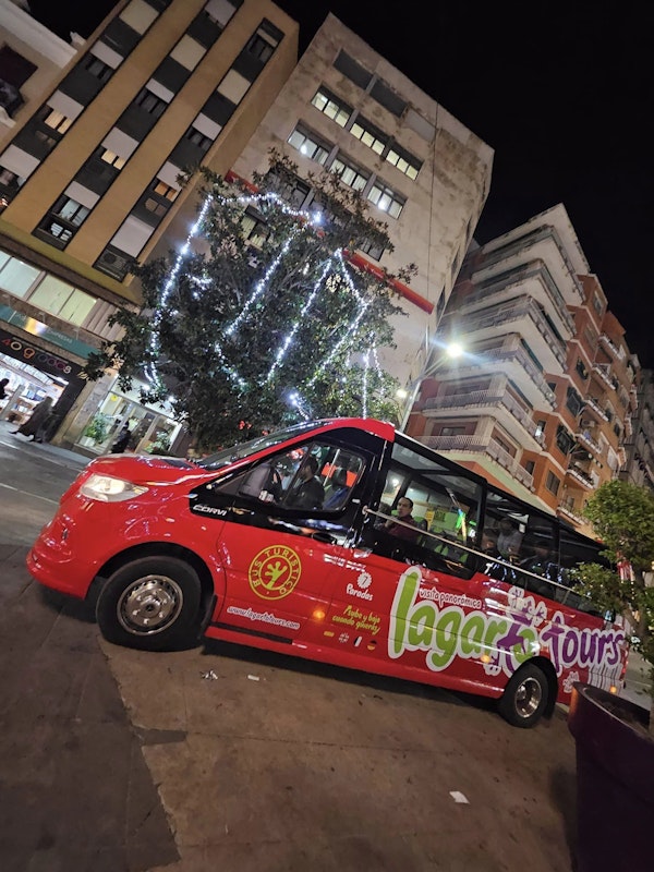 Navibus: un paseo por las luces de Navidad - Lagarto Tours